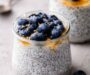 Greek Yogurt Chia Seed Pudding (20g Protein )